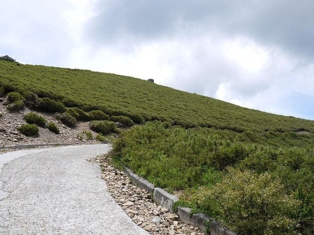 20160627_125440_(001).jpg - 20160627_花蓮_合歡山主峰步道_登頂