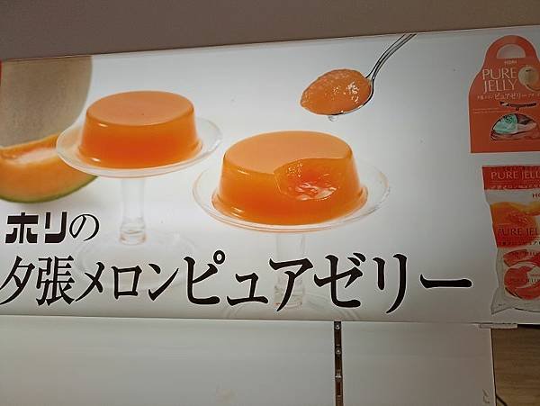 20230905_日本_北海道_洞爺湖_法國歐風城堡庭園_大