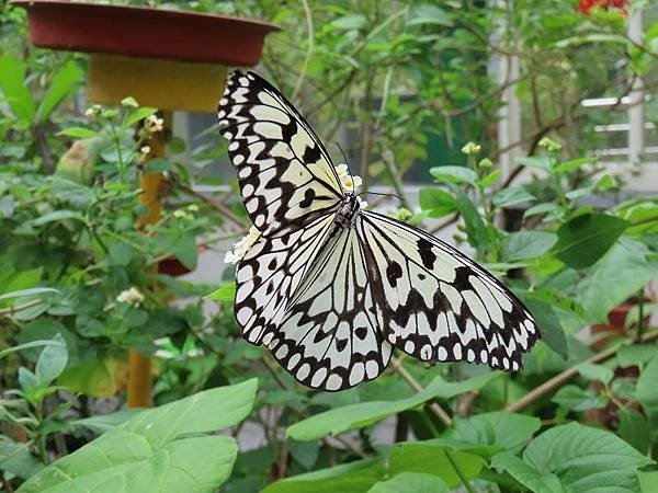 20231022_台北市_木柵動物園