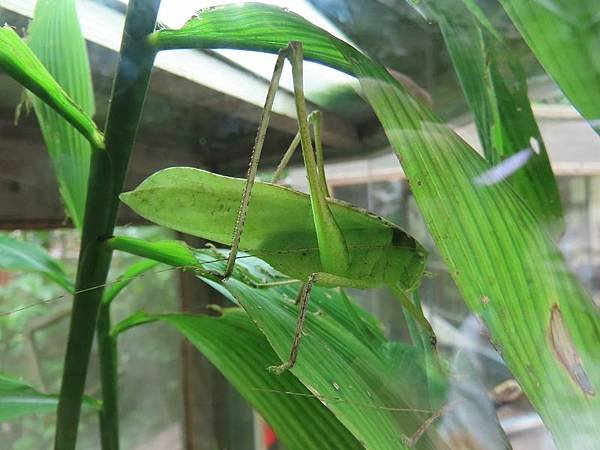 20231022_台北市_木柵動物園