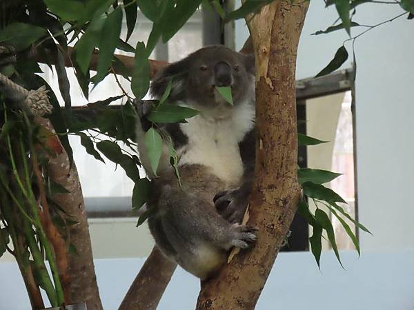 20231022_台北市_木柵動物園