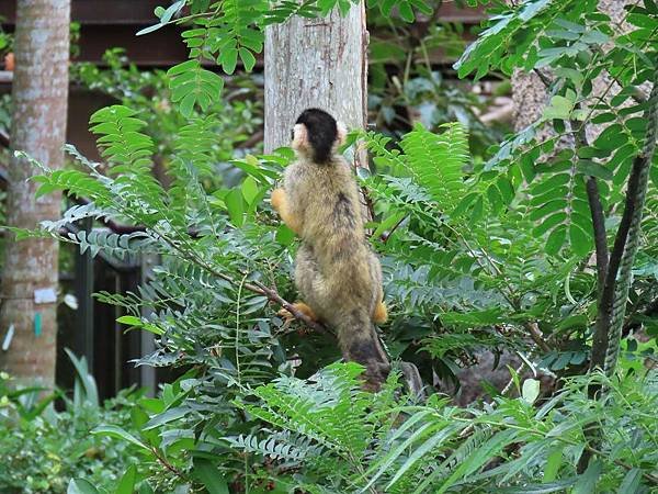 20231022_台北市_木柵動物園