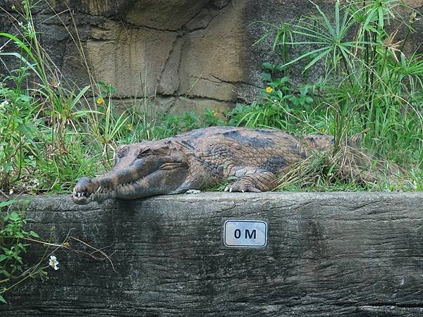 20231022_台北市_木柵動物園