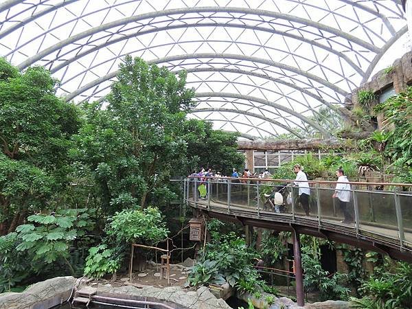 20231022_台北市_木柵動物園_熱帶雨林區