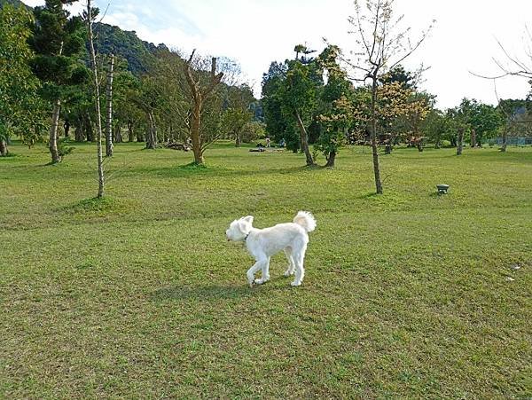 20240218_南港_山水綠生態公園