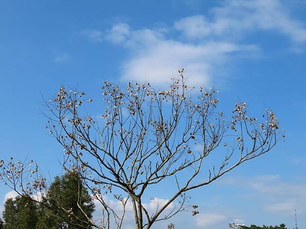 20240218_南港_山水綠生態公園