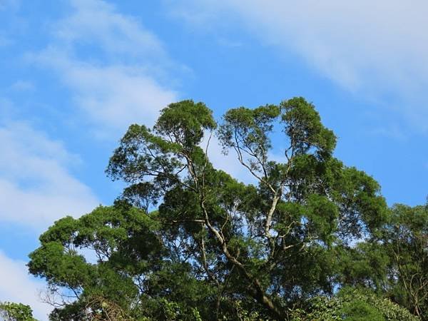 20240218_南港_山水綠生態公園