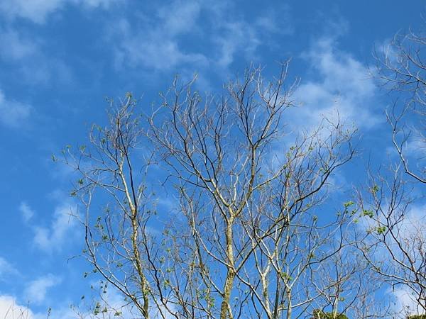 20240218_南港_山水綠生態公園