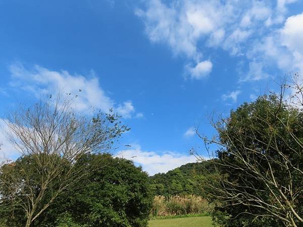 20240218_南港_山水綠生態公園