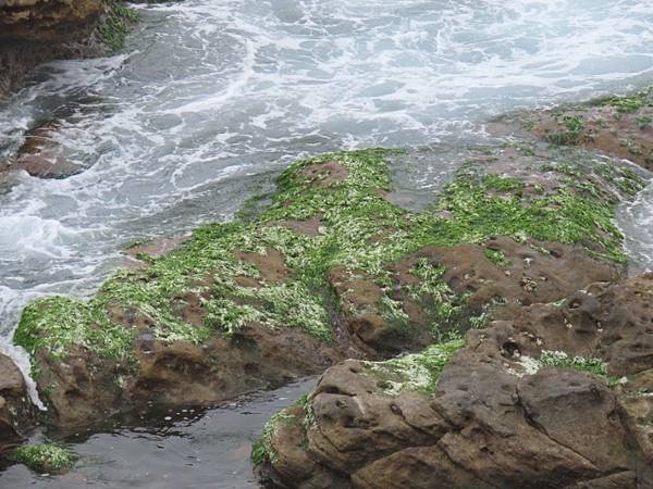 20240218_基隆_情人湖濱海大道_外木山漁港_芋圓王