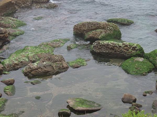 20240218_基隆_情人湖濱海大道_外木山漁港_芋圓王