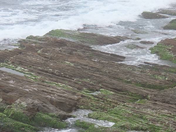 20240218_基隆_情人湖濱海大道_外木山漁港_芋圓王