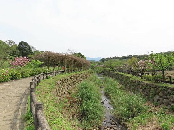 2024-03-23 13-28-53 (自訂).JPG