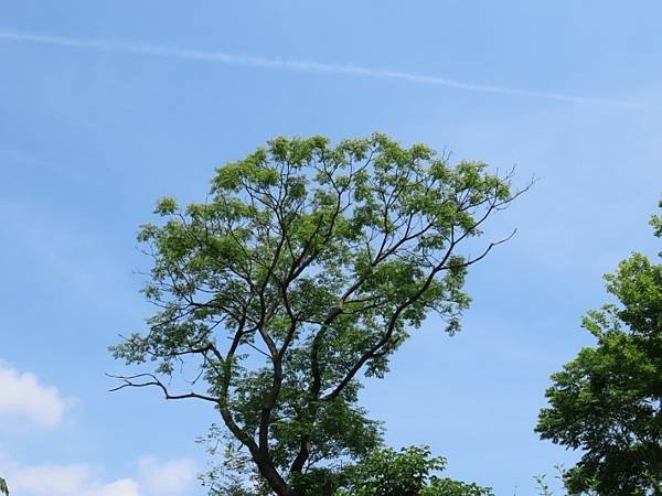 IMG_0359 (自訂).JPG