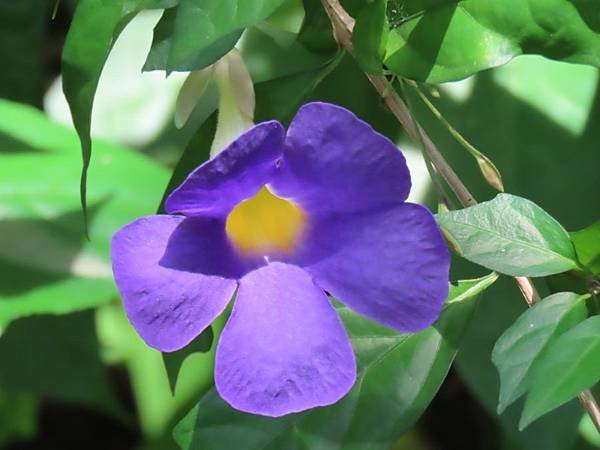 IMG_0428 (自訂).JPG