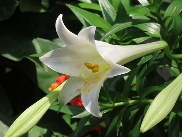 IMG_0426 (自訂).JPG