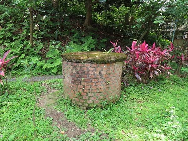 IMG_0441 (自訂).JPG