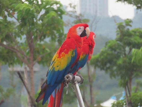 2024-10-26 15-20-55 (自訂).JPG