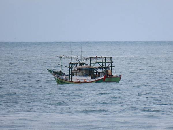 2025-01-31 12-30-41 (自訂).JPG