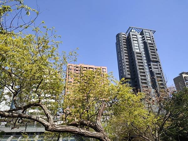 2025-02-28 10-55-22 (自訂).jpg