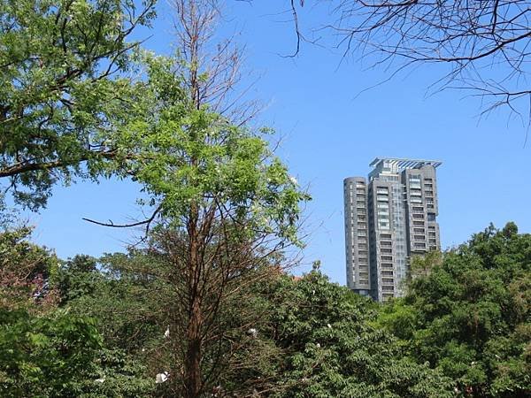 2025-02-28 11-54-03 (自訂).JPG