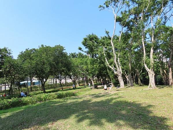 2025-02-28 11-59-29 (自訂).JPG