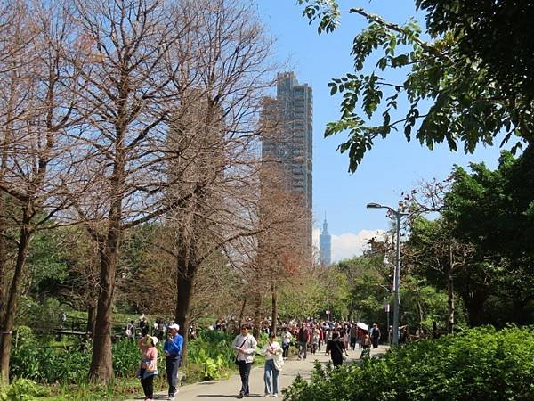 2025-02-28 11-56-04 (自訂).JPG