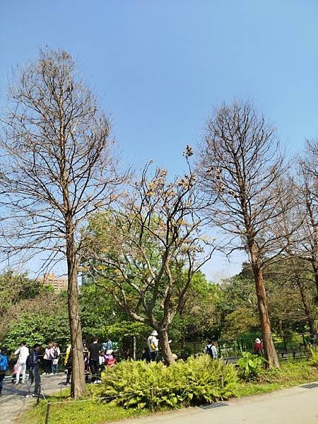 2025-02-28 11-56-20 (自訂).jpg