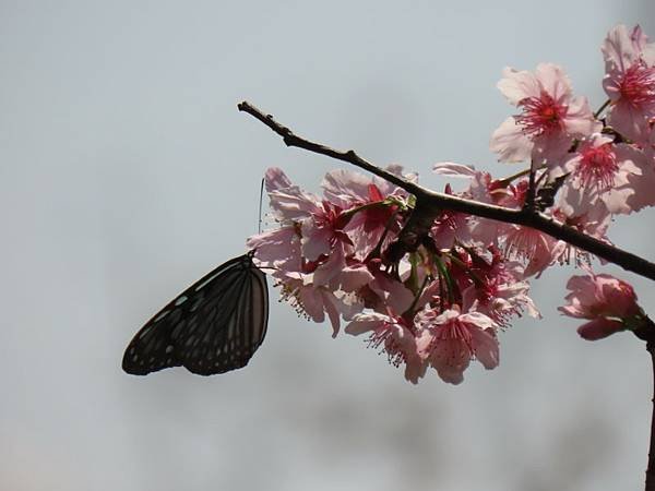 2025-02-28 12-03-34 (自訂).JPG