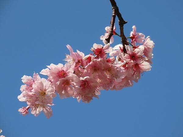2025-02-28 12-04-12 (自訂).JPG