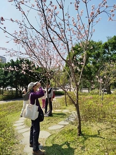 2025-02-28 12-04-30 (自訂).jpg