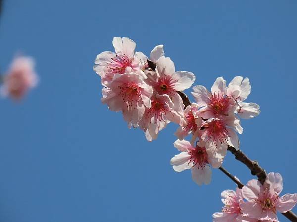 2025-02-28 12-05-59 (自訂).JPG