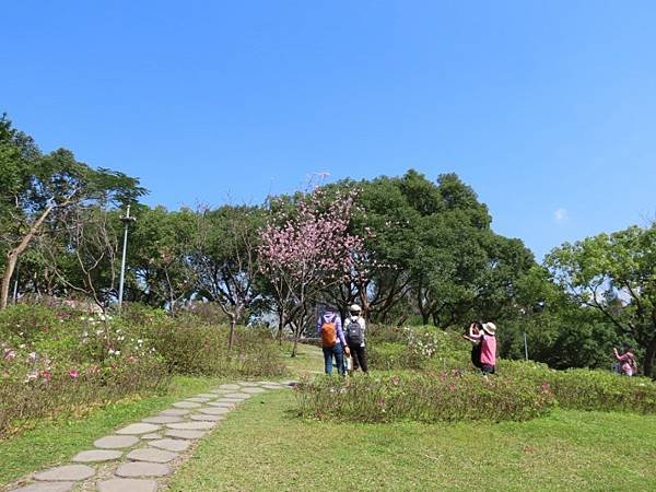 2025-02-28 12-18-05 (自訂).JPG