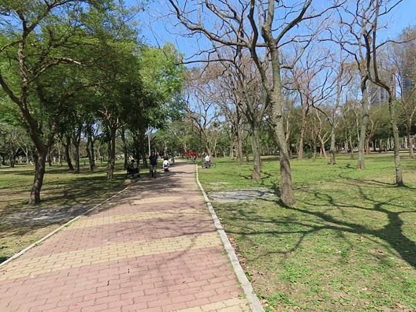 2025-02-28 12-30-35 (自訂).JPG