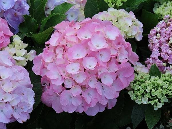 2025-02-28 13-21-54 (自訂).JPG