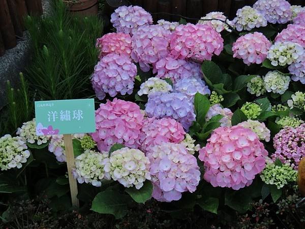 2025-02-28 13-21-48 (自訂).JPG