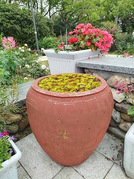 IMG_20250317_104706 (自訂).jpg