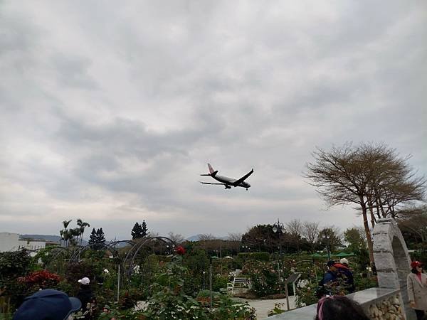 IMG_20250317_104756 (自訂).jpg