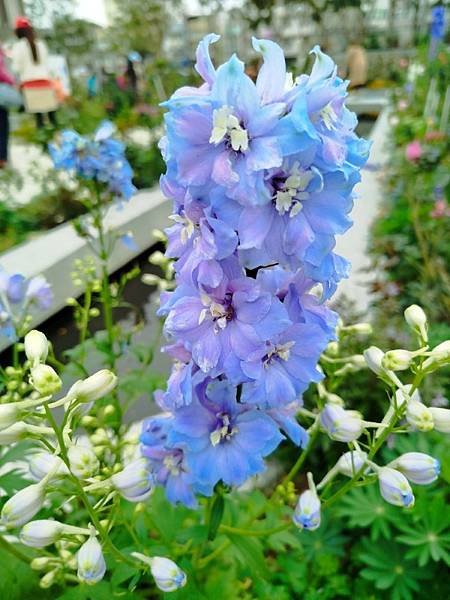IMG_20250317_104818 (自訂).jpg