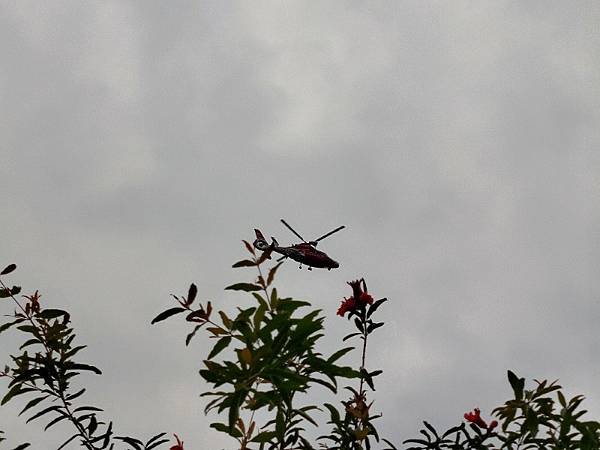IMG_20250317_105657 (自訂).jpg