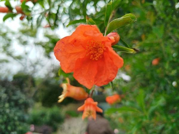 IMG_20250317_110157 (自訂).jpg