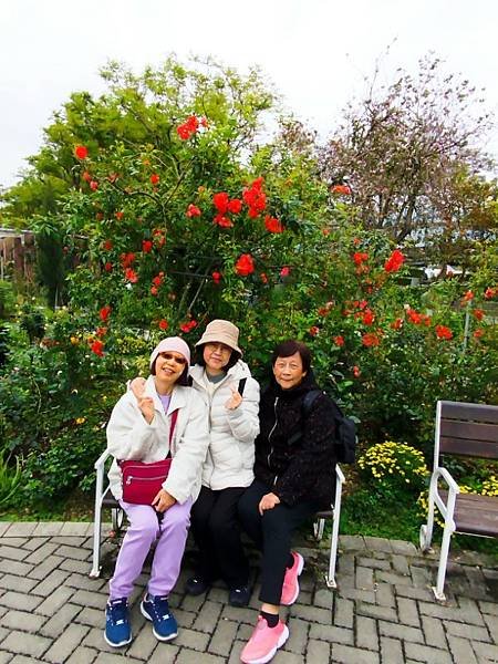 IMG_20250317_114708_1 (自訂).jpg
