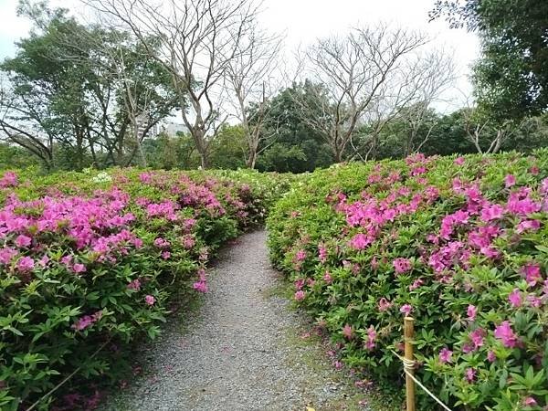 IMG_20250319_143148 (自訂).jpg