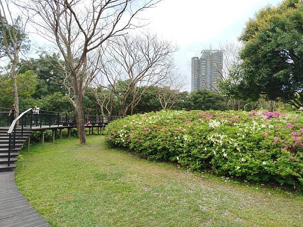 IMG_20250319_144144 (自訂).jpg