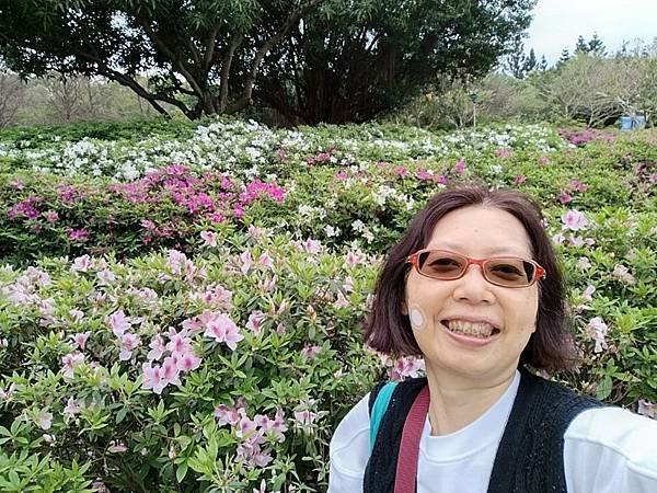 IMG_20250319_145135 (自訂).jpg