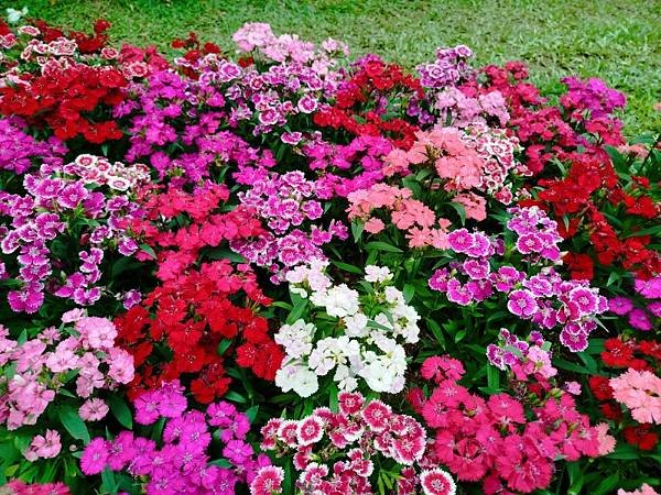 IMG_20250319_145959 (自訂).jpg