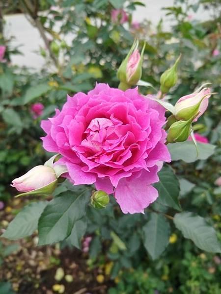 IMG_20250317_123047 (自訂).jpg
