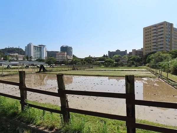 2025-03-22 14-31-19 (自訂).JPG