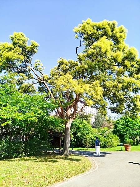 2025-03-22 14-33-53 (自訂).jpg
