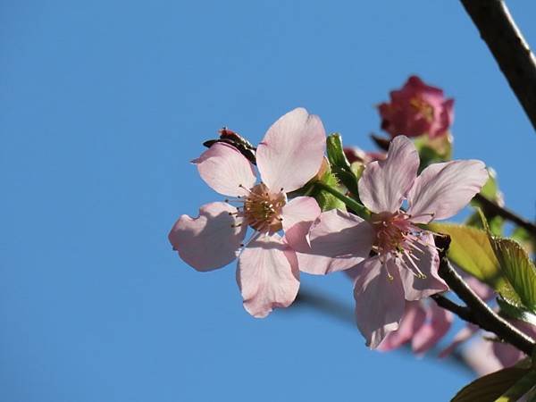 2025-03-22 14-43-25 (自訂).JPG